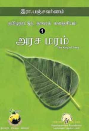 அரச மரம் 1