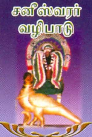 சனீஸ்வரர் வழிபாடு