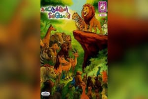 காட்டுக்குள் சிம்போனி!