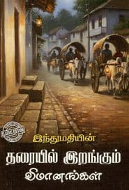 தரையில் இறங்கும் விமானங்கள்