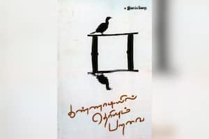  கண்ணாடியில் தெரியும் பறவை