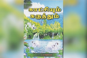 காட்சியும் கருத்தும்