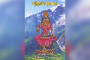 சந்தப் பறவை