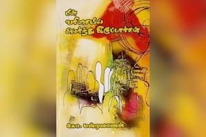 பின் வரிசையில் அமர்ந்து இருப்பார்கள்