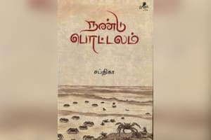 நண்டு பொட்டலம்