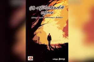 ஒரு வழிப்போக்கனின் பார்வை