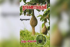 துாக்கணாங்குருவி