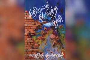 மதிலைத் துளைத்த துளி