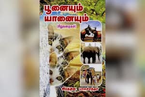 பூனையும் யானையும்