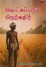 வெட்கப்படும் நெற்கதிர்