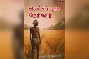 வெட்கப்படும் நெற்கதிர்