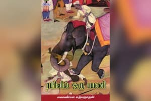 ரயிலில் ஒரு பயணி