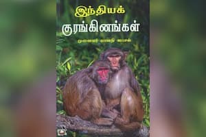 இந்தியக் குரங்கினங்கள்