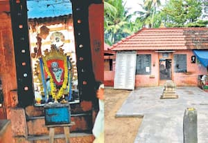 சிலந்தி வலை சாஸ்தா