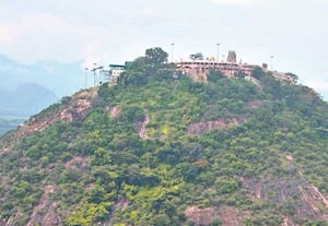 ஆவினன்குடி அழகன்