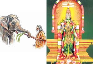 சித்தர்களின் விளையாட்டு - 15