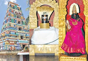 குழந்தைகளின் நலனுக்கு...