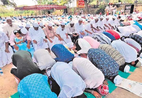 நெய் மீன்