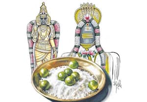 நோய் தீர்க்கும் உருண்டை
