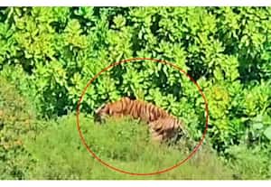 தினமலர் பகல் 12 மணி செய்திகள்  - 25 AUG 2025
