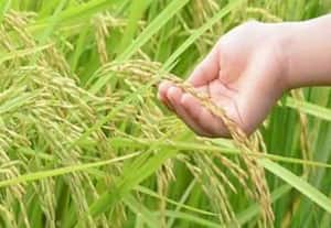 தினமலர் மாலை 6 மணி செய்திகள் - 30 september  2025