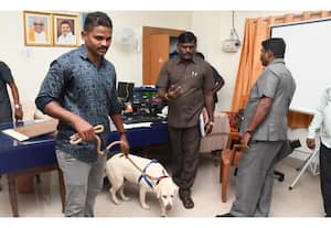 தினமலர் பகல் 1 மணி செய்திகள் - 10 Oct 2025