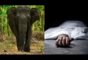 தினமலர் காலை 11 மணி செய்திகள் 13 OCT 2025