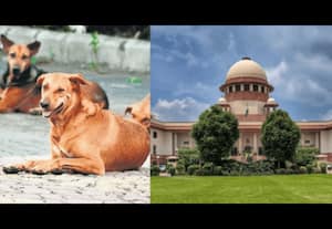 தினமலர் இரவு 11 மணி செய்திகள் 27 OCT 2025