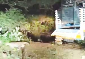 தினமலர் இரவு 09 மணி செய்திகள் - 29 Oct 2025