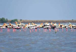 தினமலர் இரவு 8 மணி செய்திகள் - 30 OCT 2025