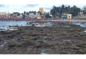 தினமலர் பகல் 2 மணி செய்திகள் - 06 Nov 2025