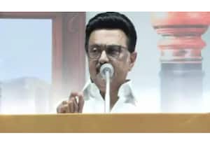 தினமலர் மாலை 4 மணி செய்திகள் - 10 Nov 2025