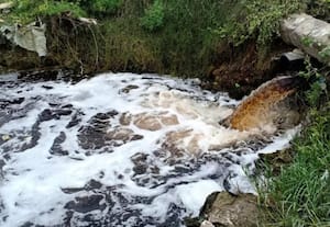 தினமலர் இரவு 11 மணி செய்திகள் - 12 NOV 2025