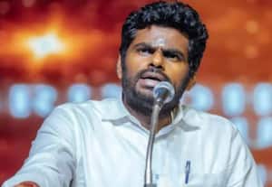 தினமலர் மாலை 4 மணி செய்திகள் - 15 November 2025