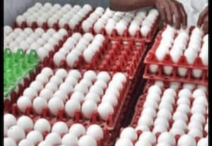 தினமலர் பகல் 12 மணி செய்திகள் 17 NOV 2025