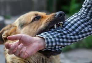 தினமலர் இரவு 8 மணி செய்திகள் - 18 NOV 2025