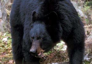 தினமலர் மாலை 4 மணி செய்திகள் - 20 NOV 2025