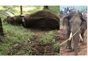 தினமலர் காலை 9 மணி செய்திகள் 27 NOV 2025