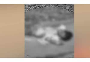 தினமலர் பகல் 12 மணி செய்திகள் 30 NOV 2025