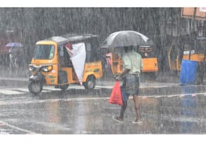 தினமலர் பகல் 2 மணி செய்திகள் - 01 Dec 2025