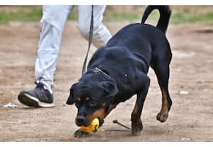 தினமலர் பகல் 3 மணி செய்திகள் - 01 Dec 2025