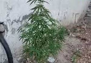 தினமலர் காலை 11 மணி செய்திகள் - 25 DEC 2025