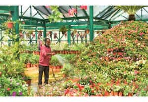 தினமலர் இரவு 8 மணி செய்திகள் - 25 Dec 2025