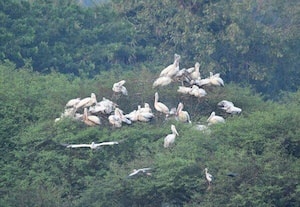 தினமலர் பகல் 12 மணி செய்திகள் - 26 DEC 2025