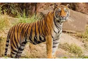 தினமலர் பகல் 2 மணி செய்திகள் - 29 Dec 2025