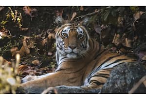 தினமலர் பகல் 12 மணி செய்திகள் - 02 Jan 2026