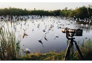 தினமலர் காலை 10 மணி செய்திகள் - 14 Jan 2026