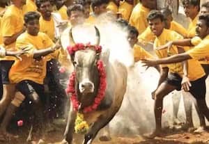 தினமலர் காலை 10 மணி செய்திகள் - 17 JAN 2026