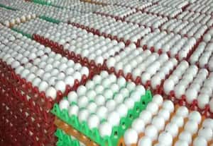 தினமலர் நண்பகல் 12 மணி செய்திகள் - 19 Jan 2026