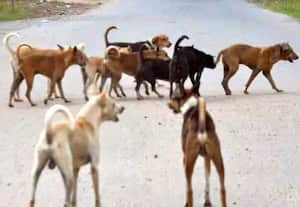 தினமலர் பகல் 01 மணி செய்திகள் 21 JAN 2026